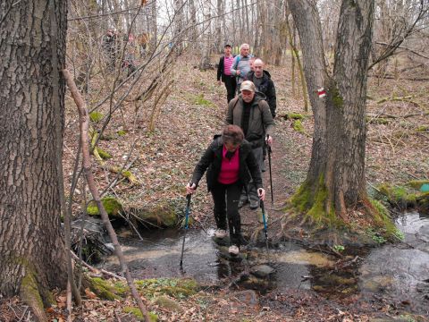 Wycieczka Žulovská pahorkatina s50 - PTTK Strzelin