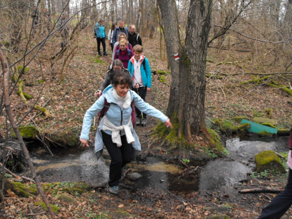 Wycieczka Žulovská pahorkatina s003 - PTTK Strzelin