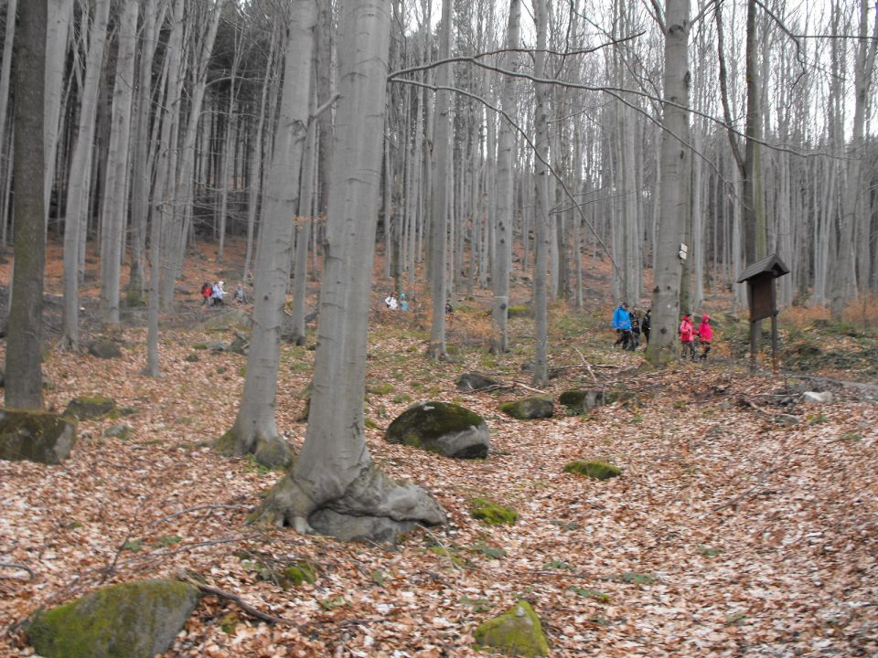 Wycieczka Žulovská pahorkatina s003 - PTTK Strzelin