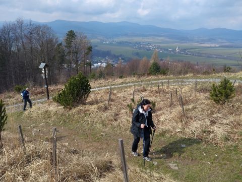 Wycieczka Žulovská pahorkatina m28 - PTTK Strzelin