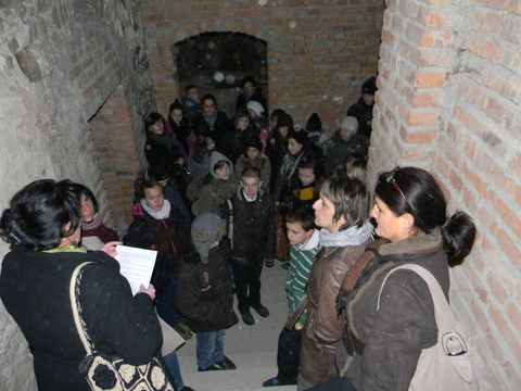 XVII Konkurs o Ziemi Strzeli�skiej - Dom Ksi���t Brzeskich s069 - PTTK Strzelin