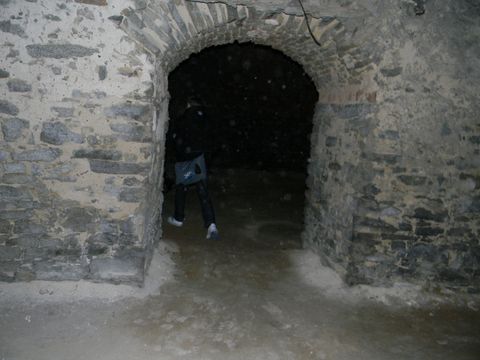 XVII Konkurs o Ziemi Strzeli�skiej - Dom Ksi���t Brzeskich s073 - PTTK Strzelin