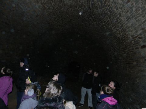 XVII Konkurs o Ziemi Strzeli�skiej - Dom Ksi���t Brzeskich s075 - PTTK Strzelin