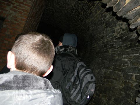 XVII Konkurs o Ziemi Strzeli�skiej - Dom Ksi���t Brzeskich s078 - PTTK Strzelin